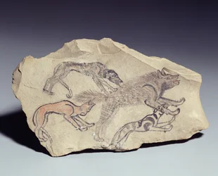 Ostracon représentant un chien chassant une hyène